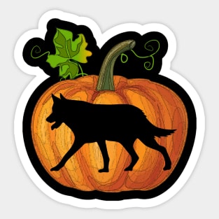 Wolf in pumpkin Sticker